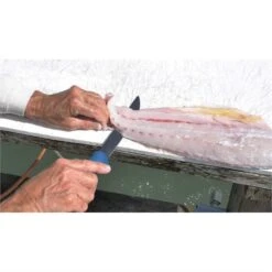 Camillus 23046 AquaTuff Wide Fillet Knife -Knives Discount Store 164908