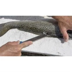 Camillus 23046 AquaTuff Wide Fillet Knife -Knives Discount Store 164910