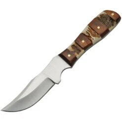 Steel Stag 7027 Mini Skinner Fixed Satin Finish Blade Knife With Bone And Wood Handle