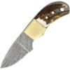 Fox-N-Hound Knives 121 Mini Skinner Damascus -Knives Discount Store 248859 248864