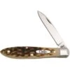 Case XX Knives 246 Teardrop Jack Amber Bone
